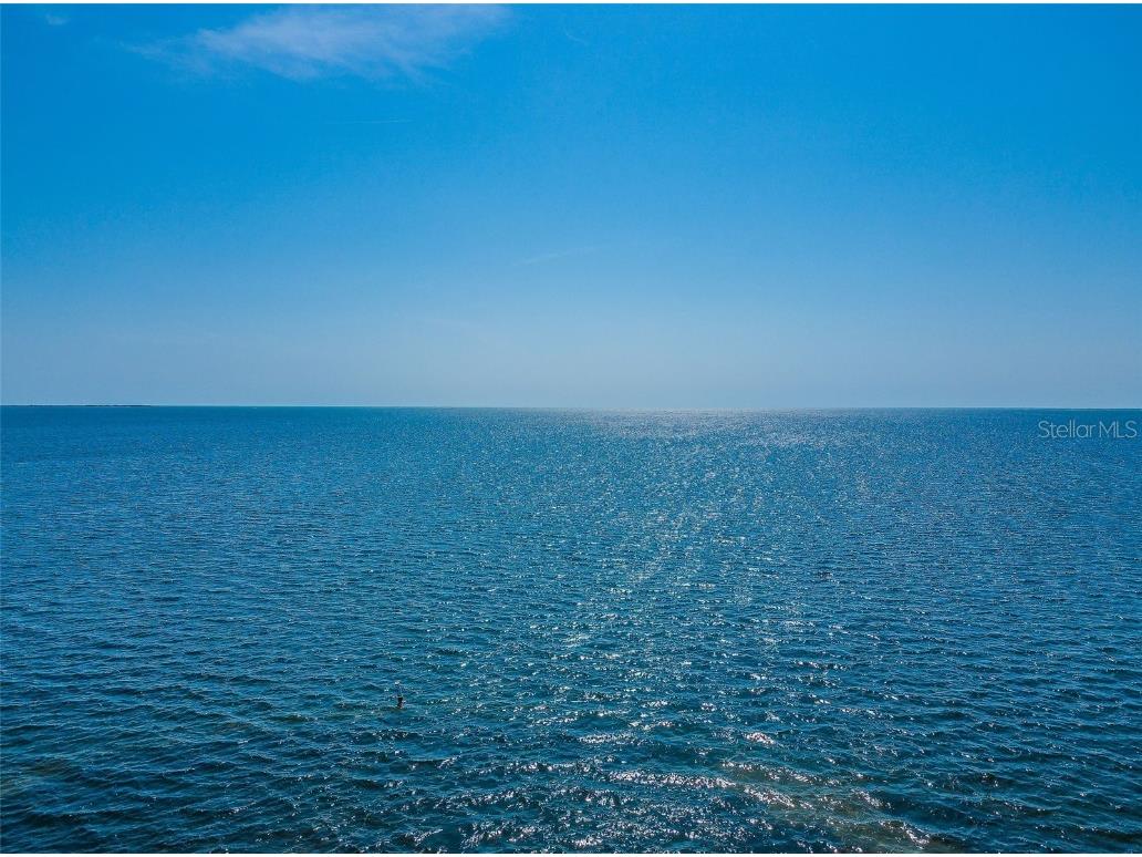 431 Grand Boulevard Tarpon Springs FL 34689 TB8448167 image48