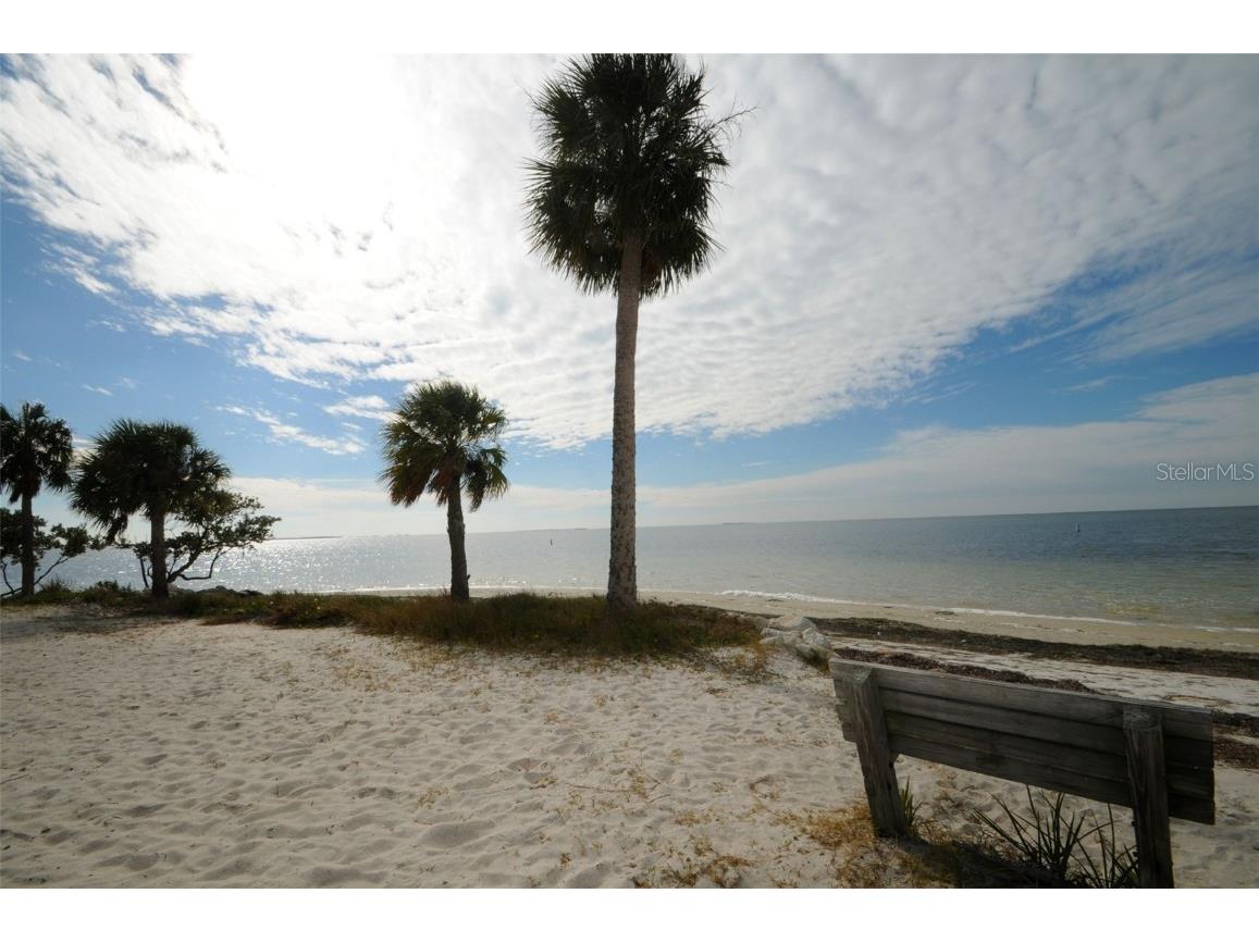 431 Grand Boulevard Tarpon Springs FL 34689 TB8448167 image51