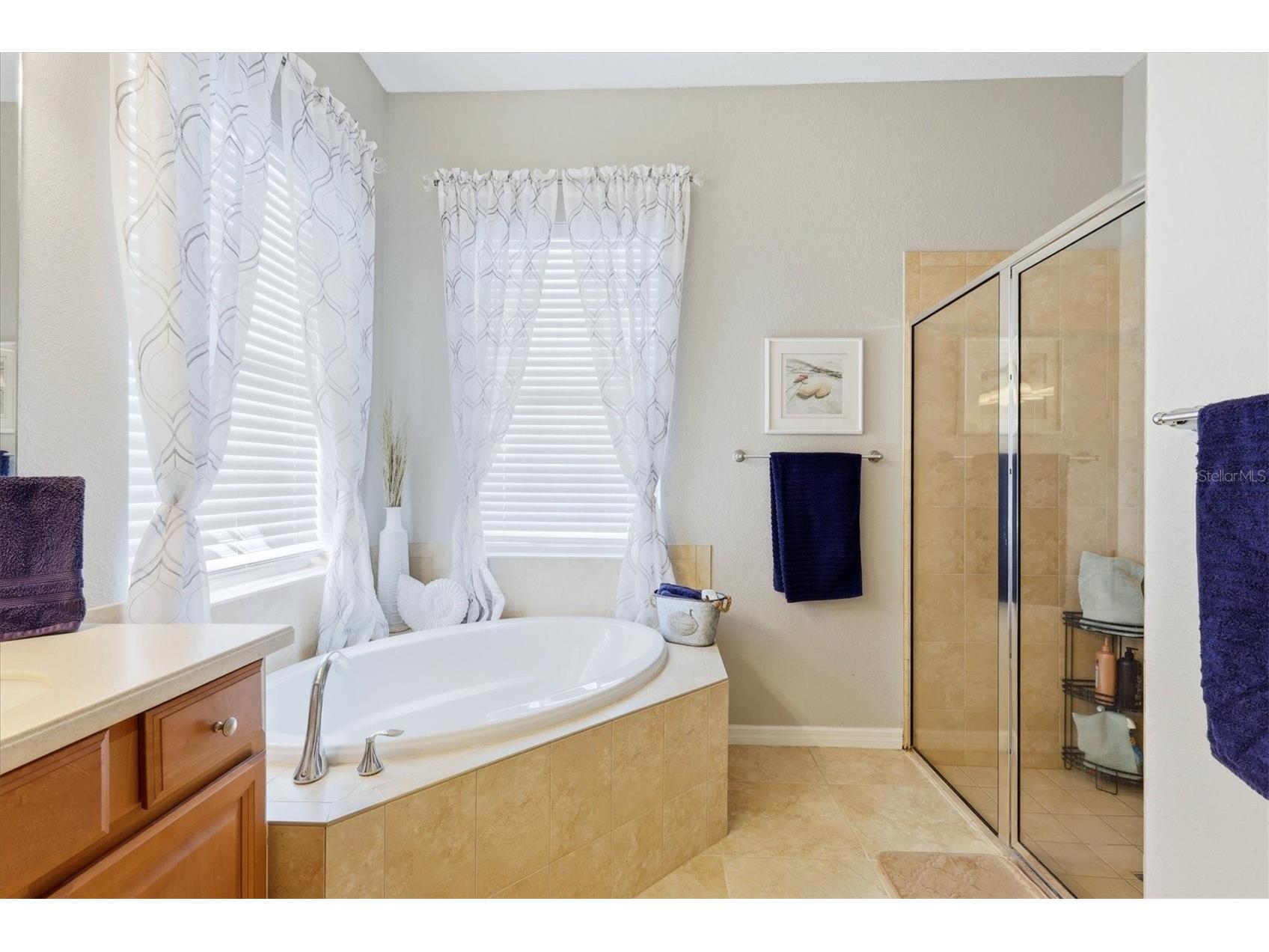 431 Grand Preserve Cv Bradenton FL 34212 A4690186 image30