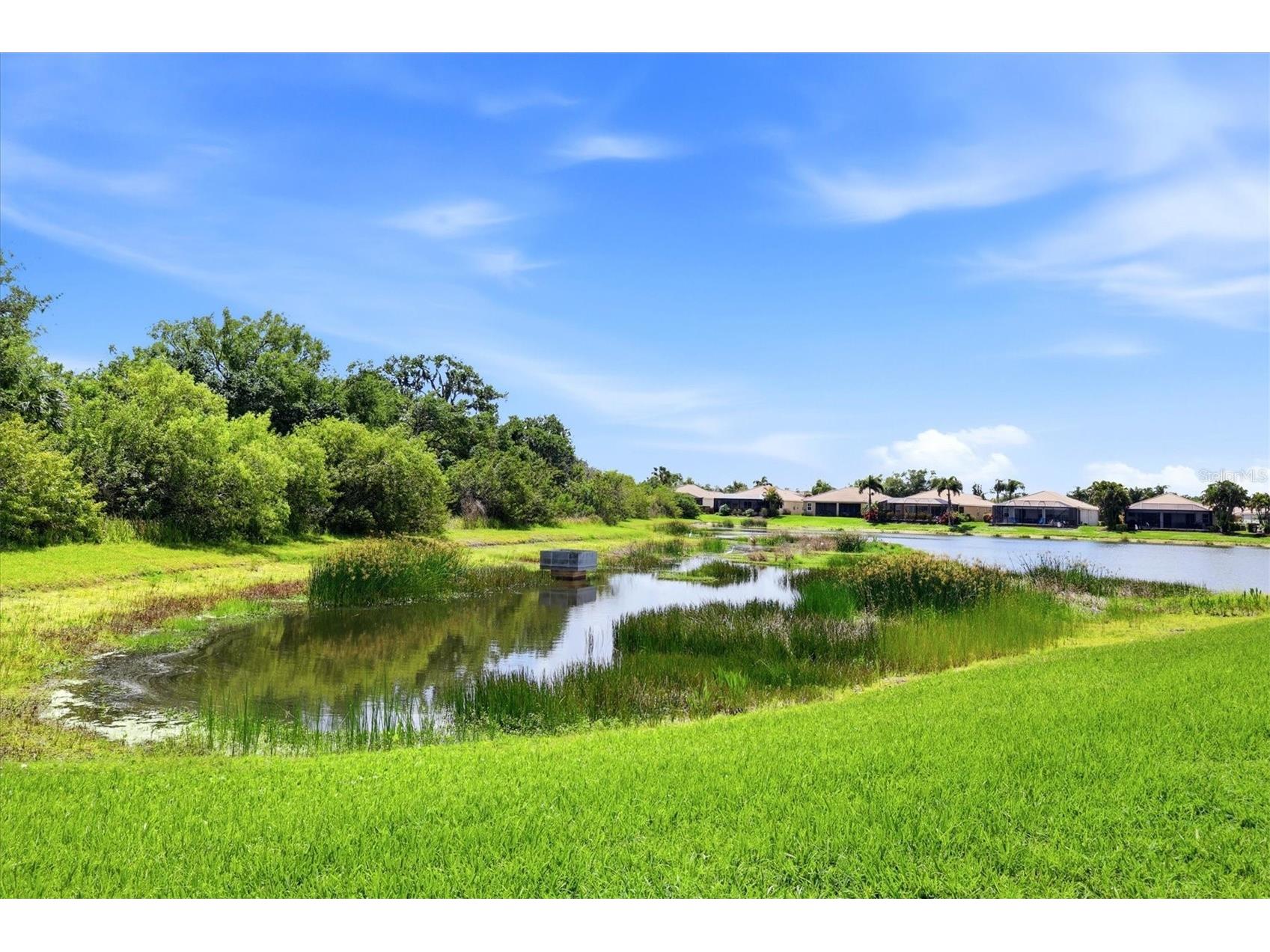 431 Grand Preserve Cv Bradenton FL 34212 A4690186 image43