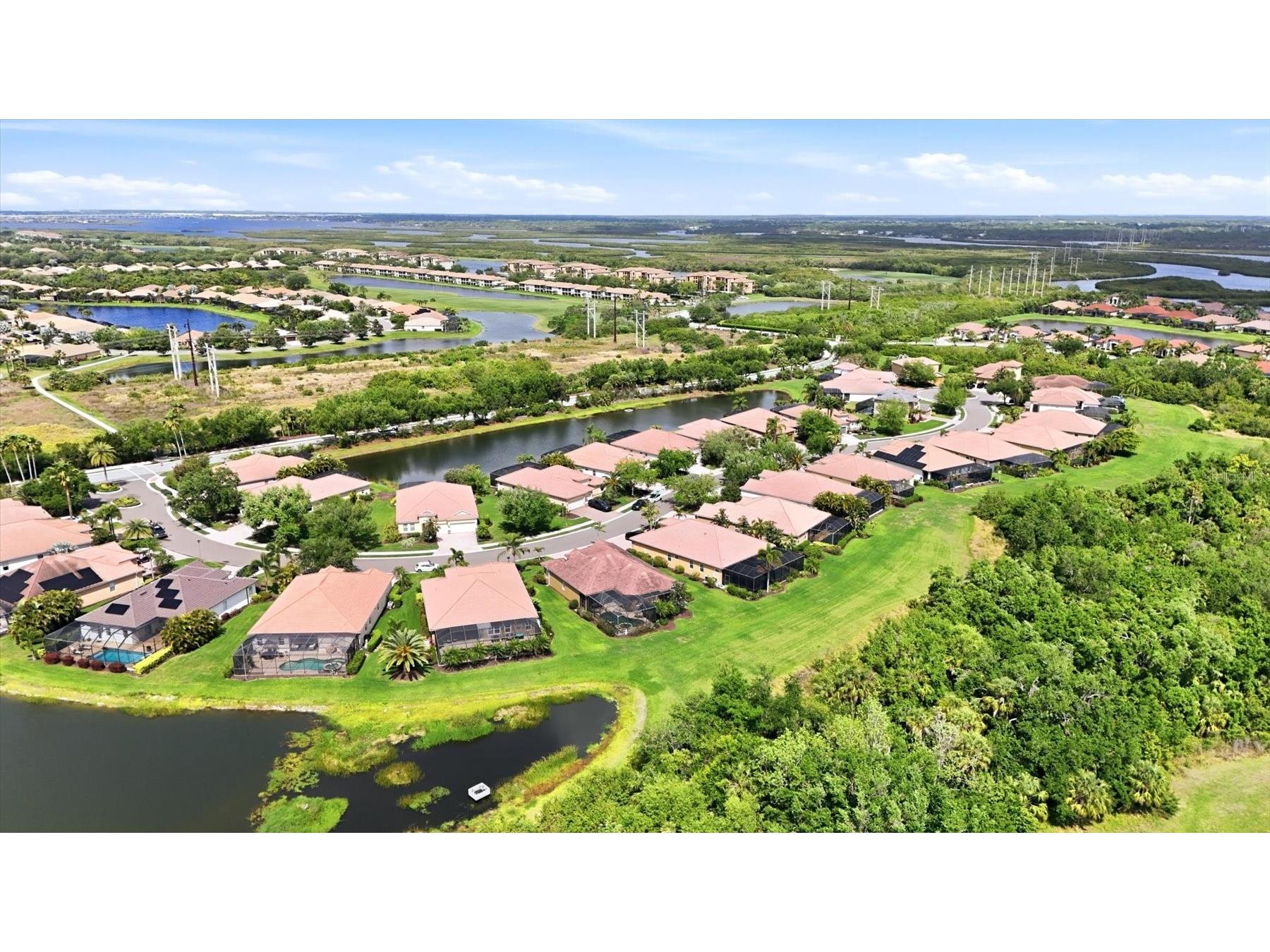 431 Grand Preserve Cv Bradenton FL 34212 A4690186 image50