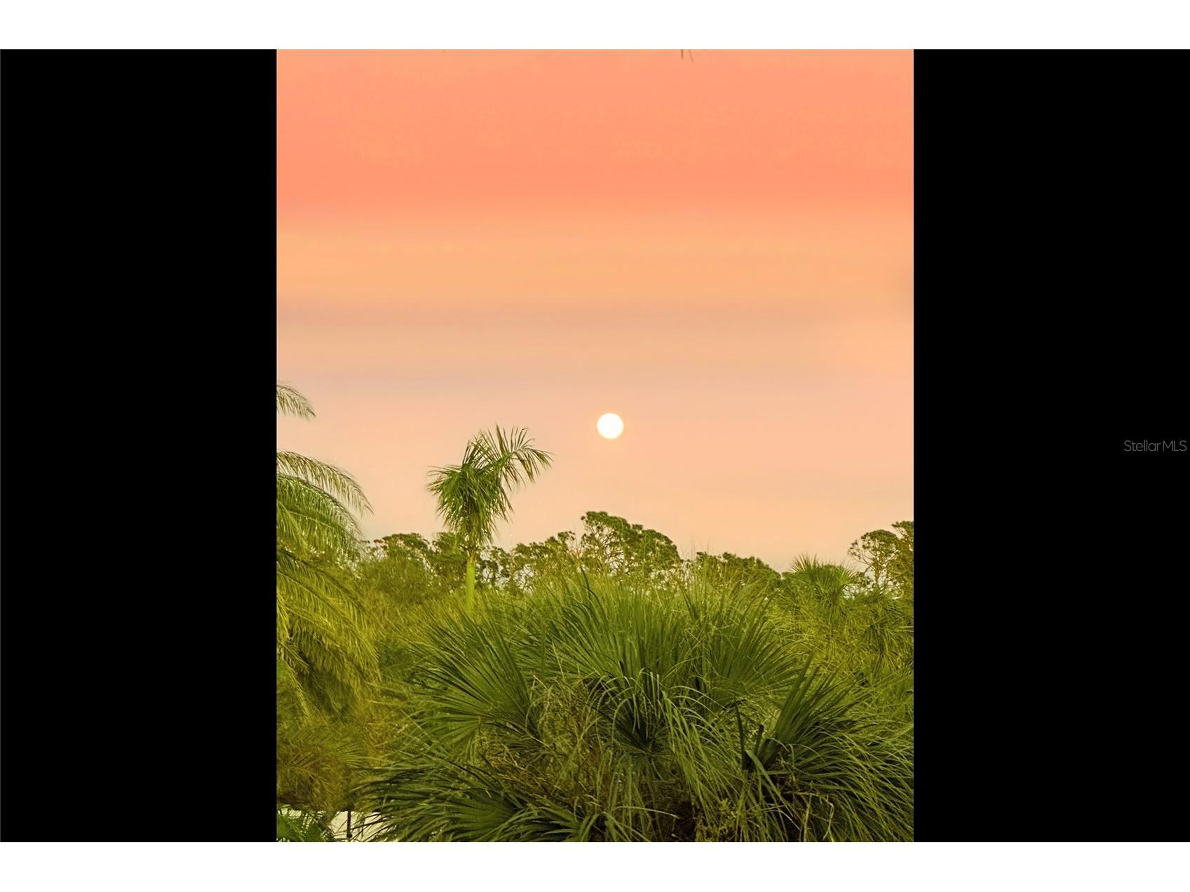 431 Kettle Harbor Drive Placida FL 33946 - KETTLE HARBOR D6146917 image51