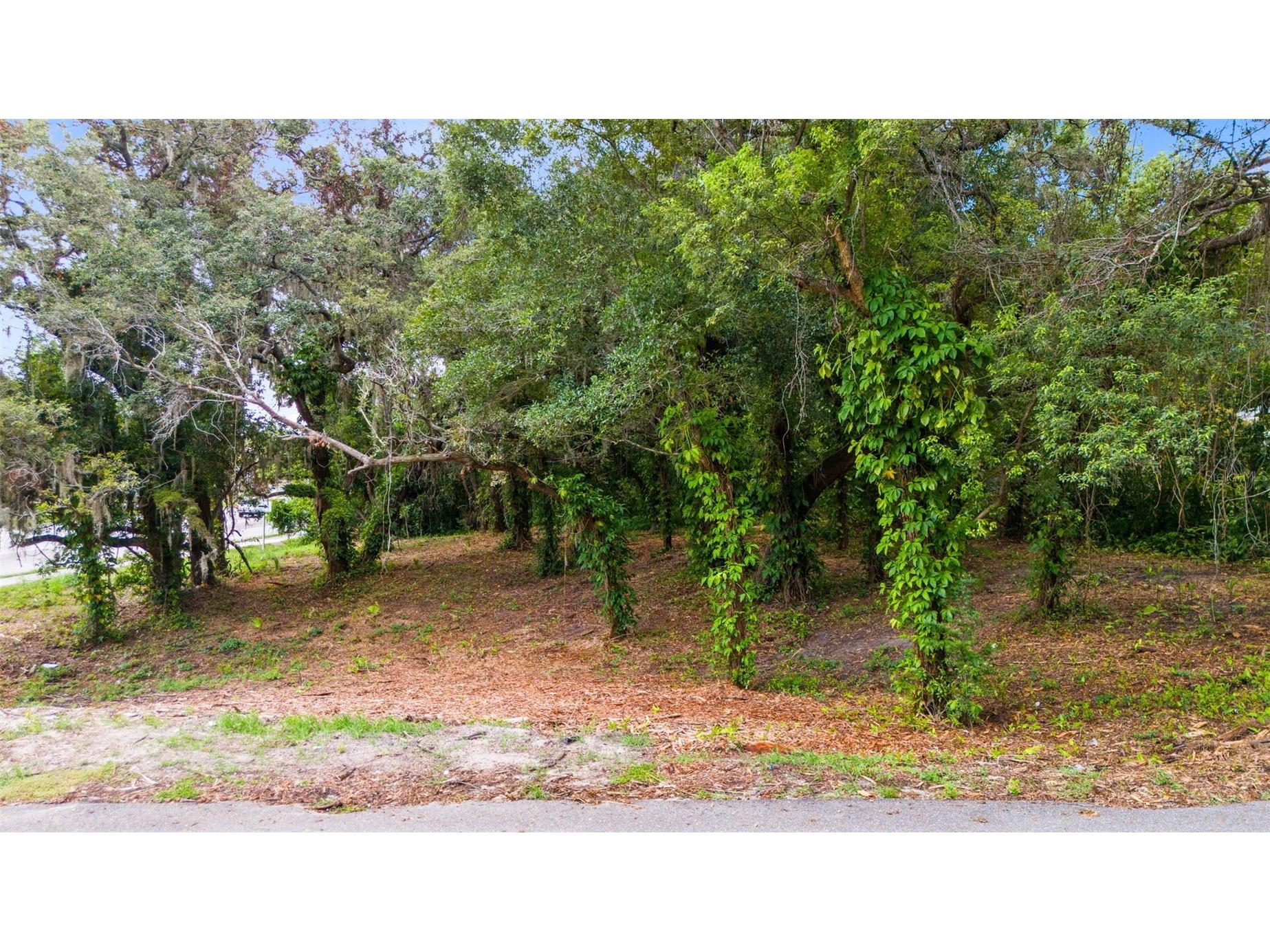 431 N Hiawassee Road Orlando FL 32835 S5133923 image7