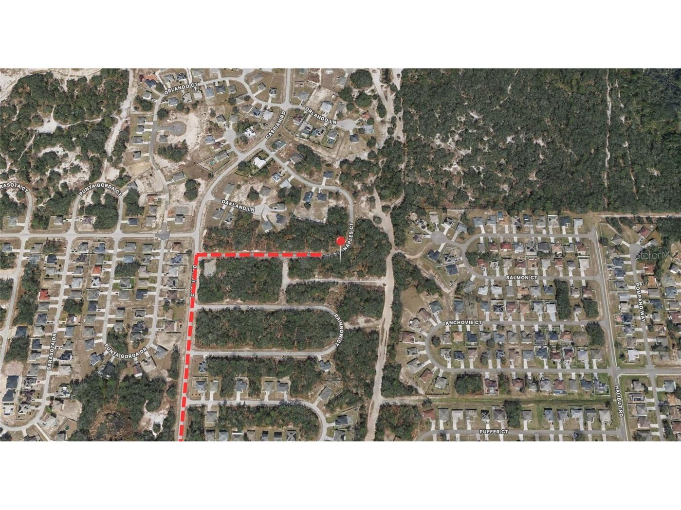 431 Naples Court Kissimmee FL 34759 OM714058 image3