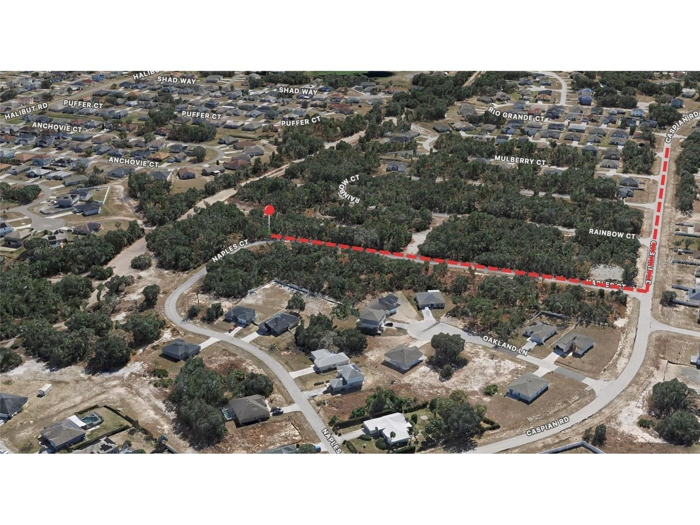 431 Naples Court Kissimmee FL 34759 OM714058 image4