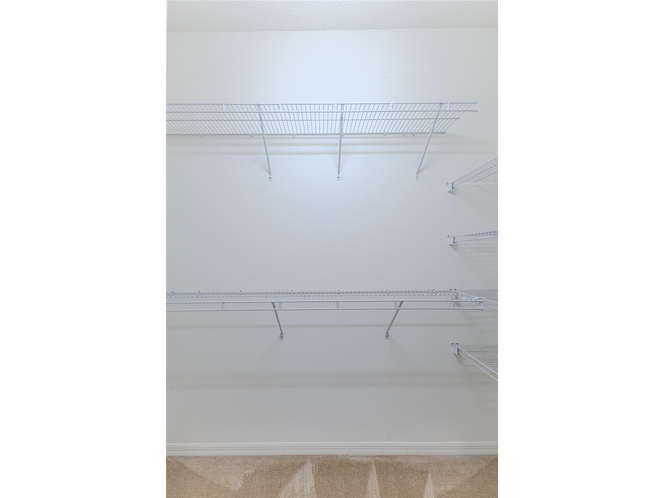 431 Quane Avenue Spring Hill FL 34609 W7883989 image33