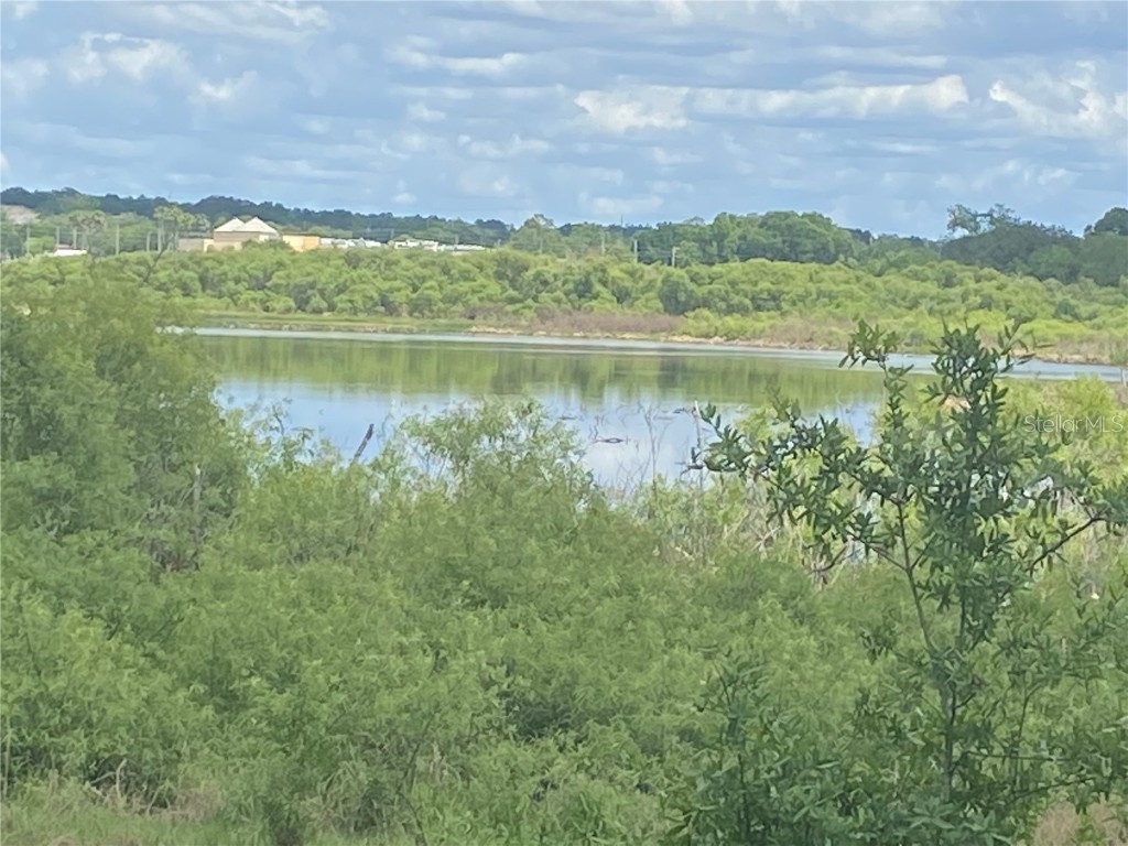 431 S Miami Street Lake Wales FL 33853 S5139133 image15