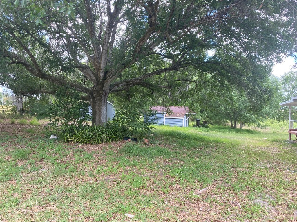 431 S Miami Street Lake Wales FL 33853 S5139133 image4