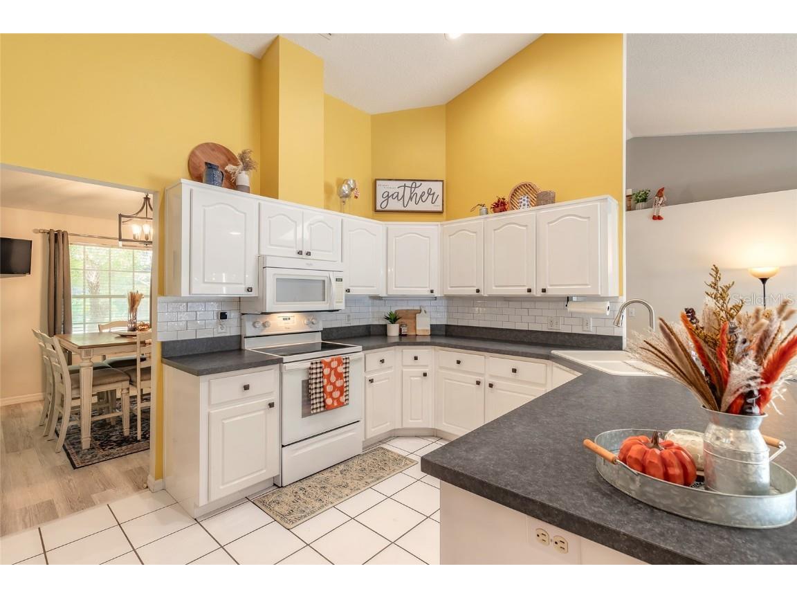 431 Secluded Oaks Trail Deland FL 32724 V4946061 image9