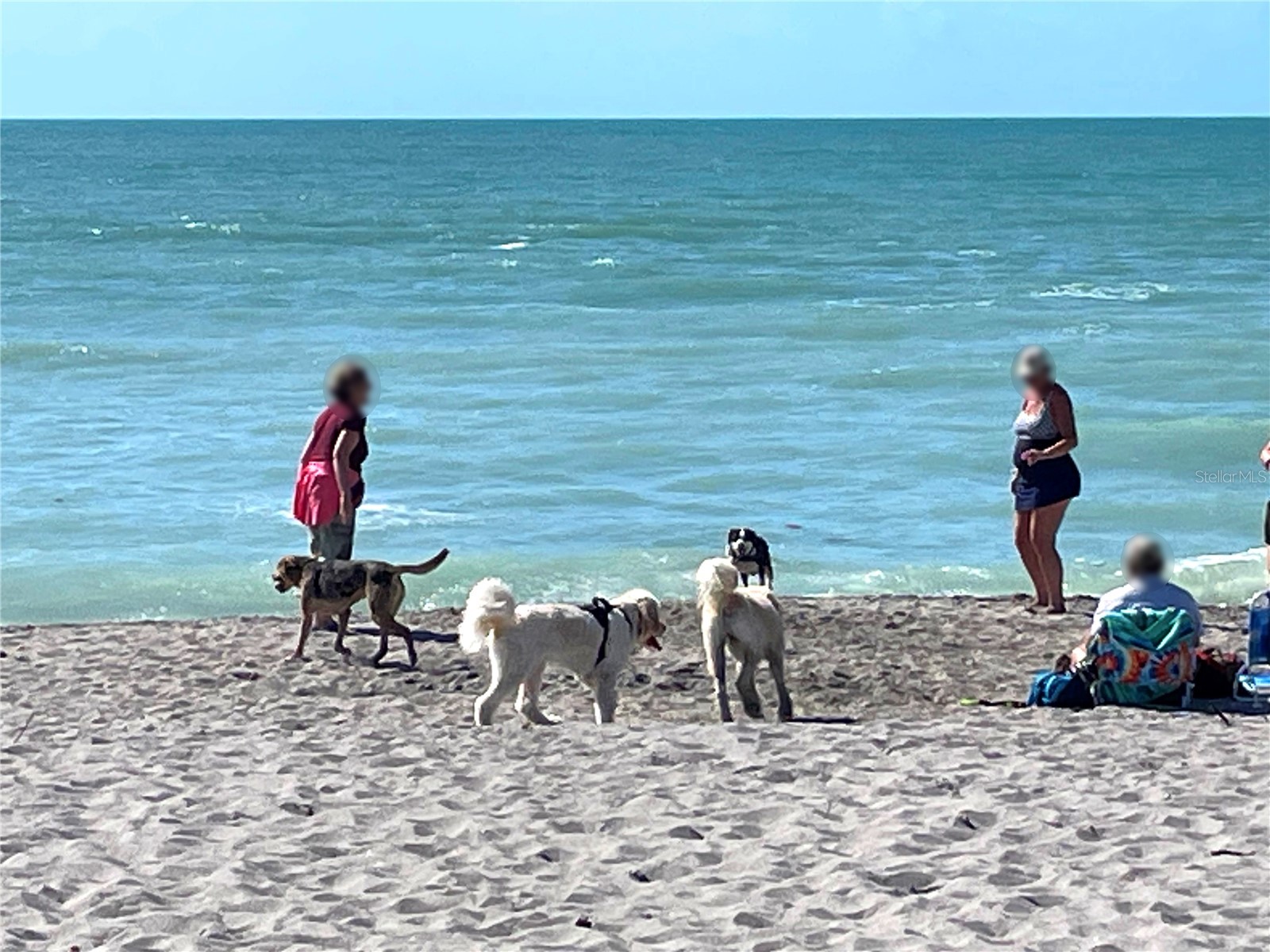 431 Villas Drive Venice FL 34285 N6141607 image92