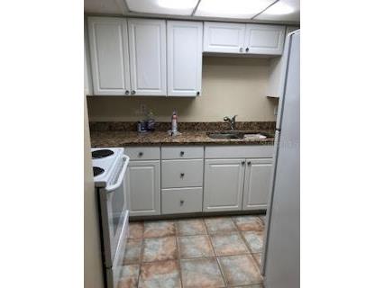 431 W Rich Avenue #429 Deland FL 32720 V4947962 image23