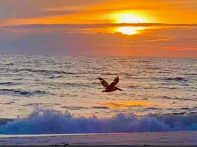 4310 Falmouth Drive #102 Longboat Key FL 34228 - SARASOTA BAY A4679011 image12