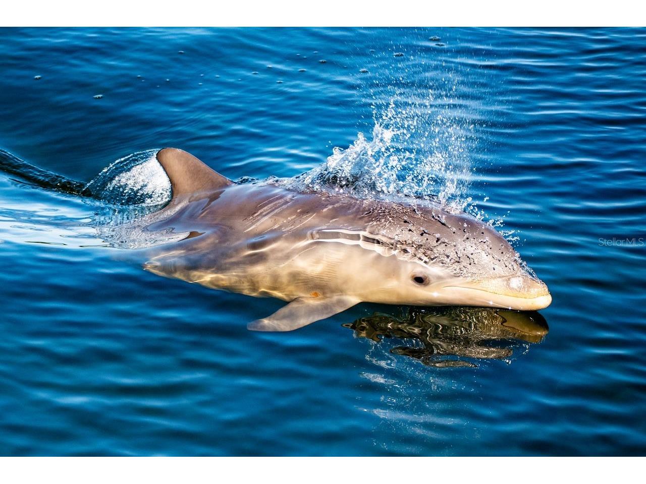 4310 Falmouth Drive #102 Longboat Key FL 34228 - SARASOTA BAY A4679011 image16