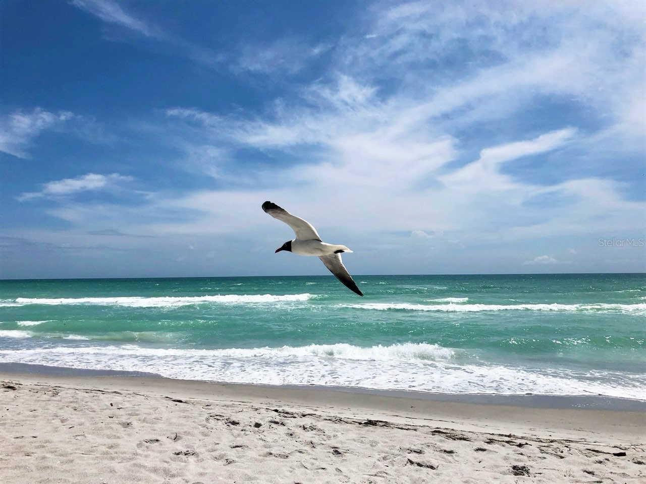 4310 Falmouth Drive #102 Longboat Key FL 34228 - SARASOTA BAY A4679011 image18