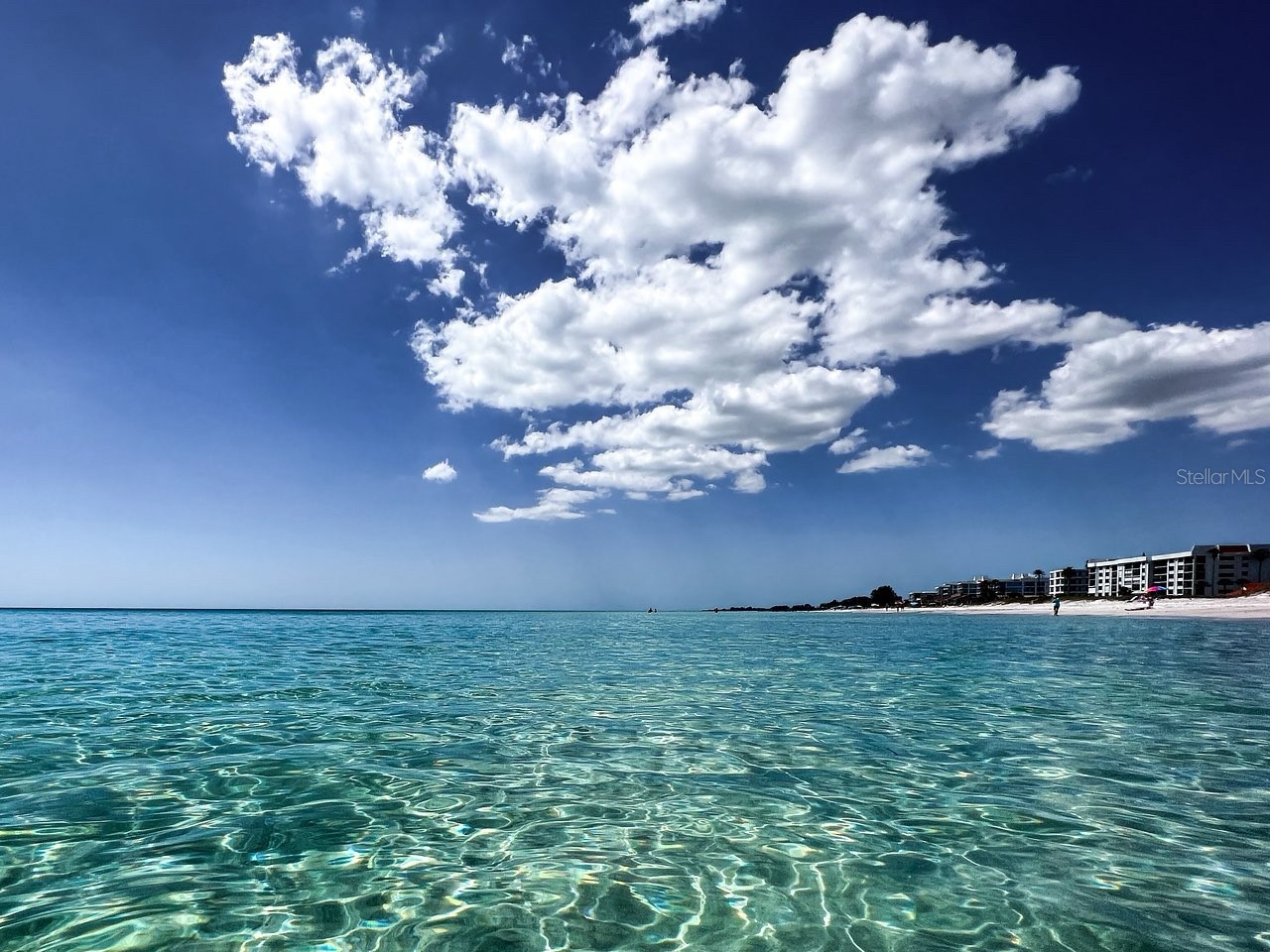 4310 Falmouth Drive #102 Longboat Key FL 34228 - SARASOTA BAY A4679011 image42