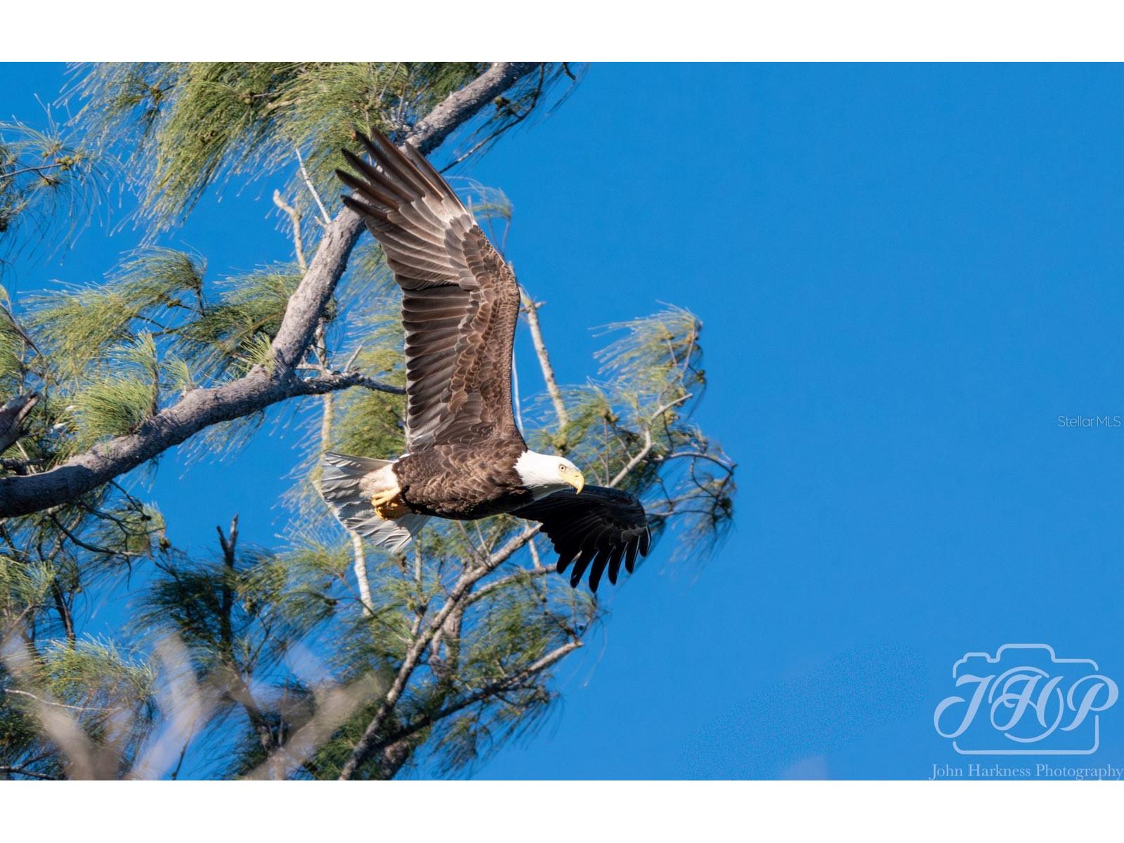 4310 Falmouth Drive #102 Longboat Key FL 34228 - SARASOTA BAY A4679011 image50
