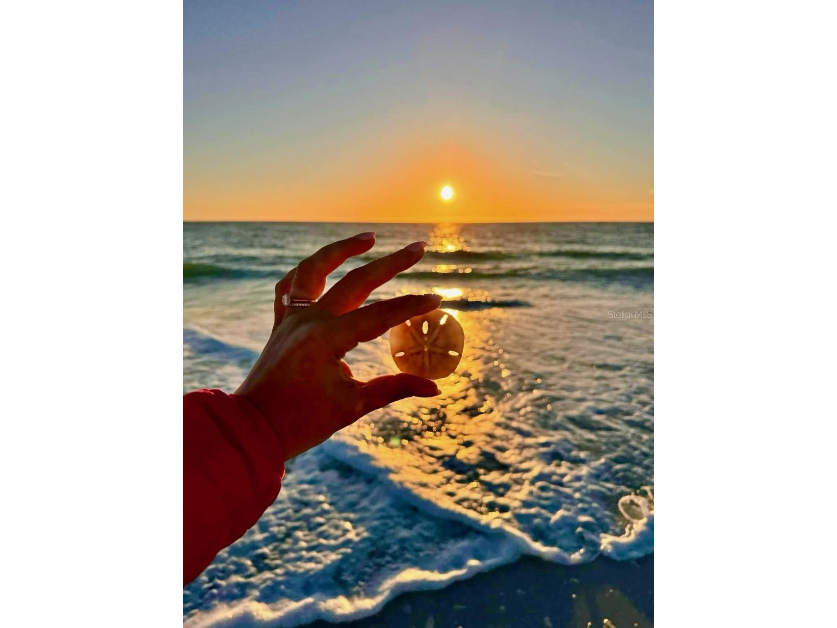 4310 Falmouth Drive #102 Longboat Key FL 34228 - SARASOTA BAY A4679011 image92