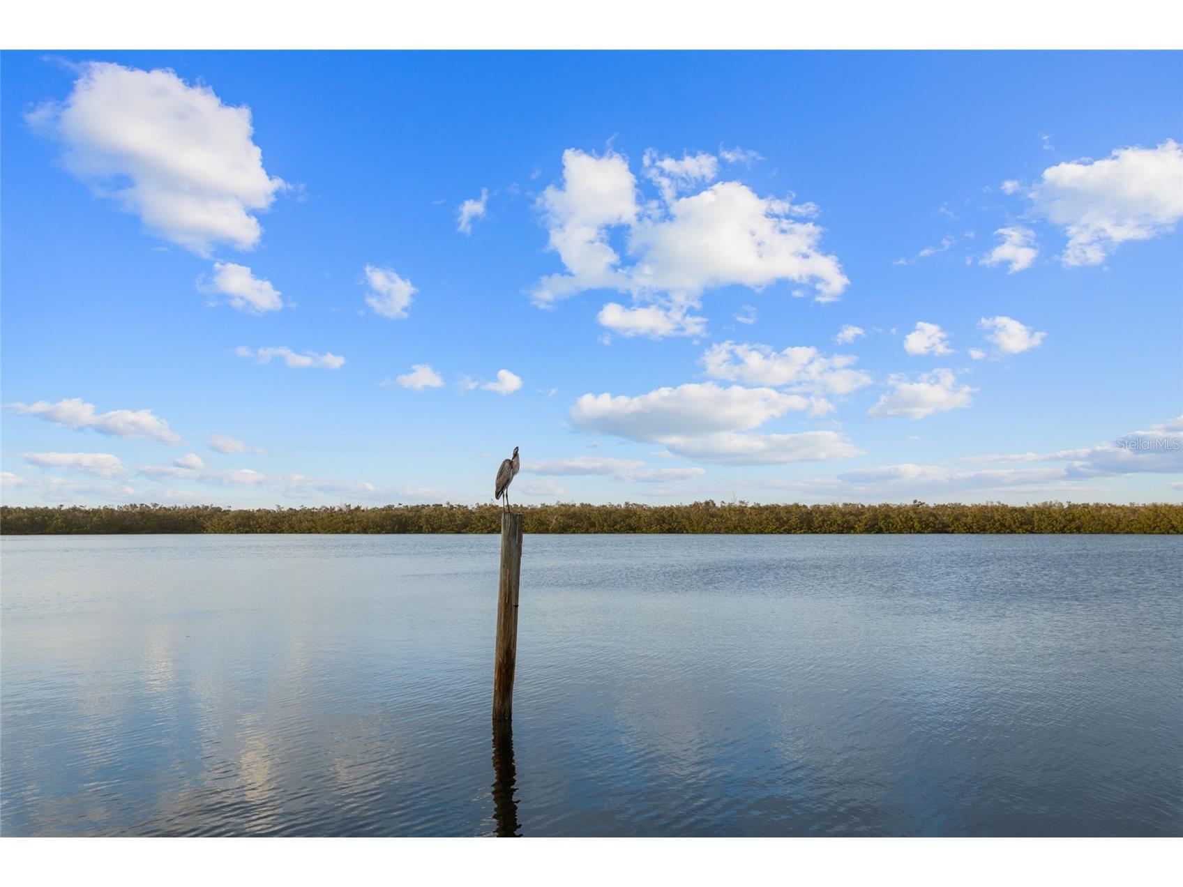 4310 Falmouth Drive #304 Longboat Key FL 34228 A4678473 image36