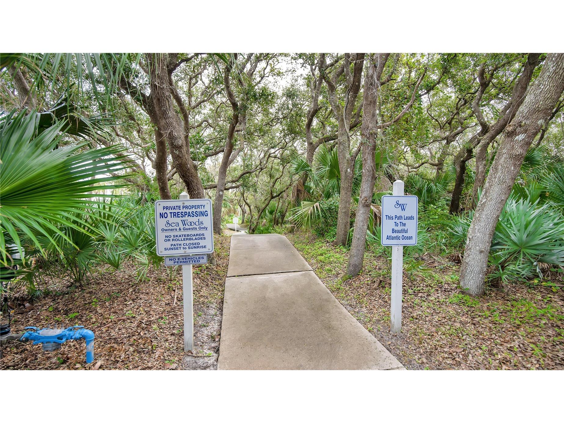 4310 Gull Cove New Smyrna Beach FL 32169 NS1087797 image43