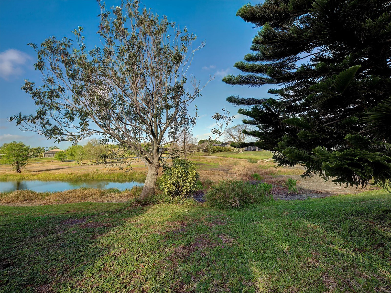 4310 Manfield Drive Venice FL 34293 N6143645 image40