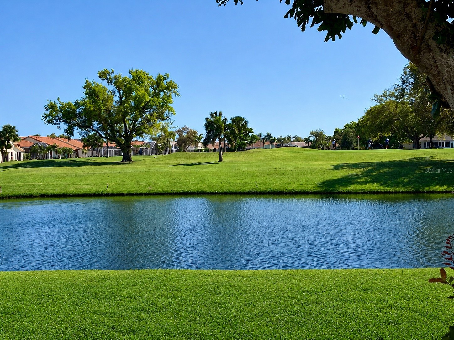 4310 Murfield Drive E Bradenton FL 34203 A4686531 image27