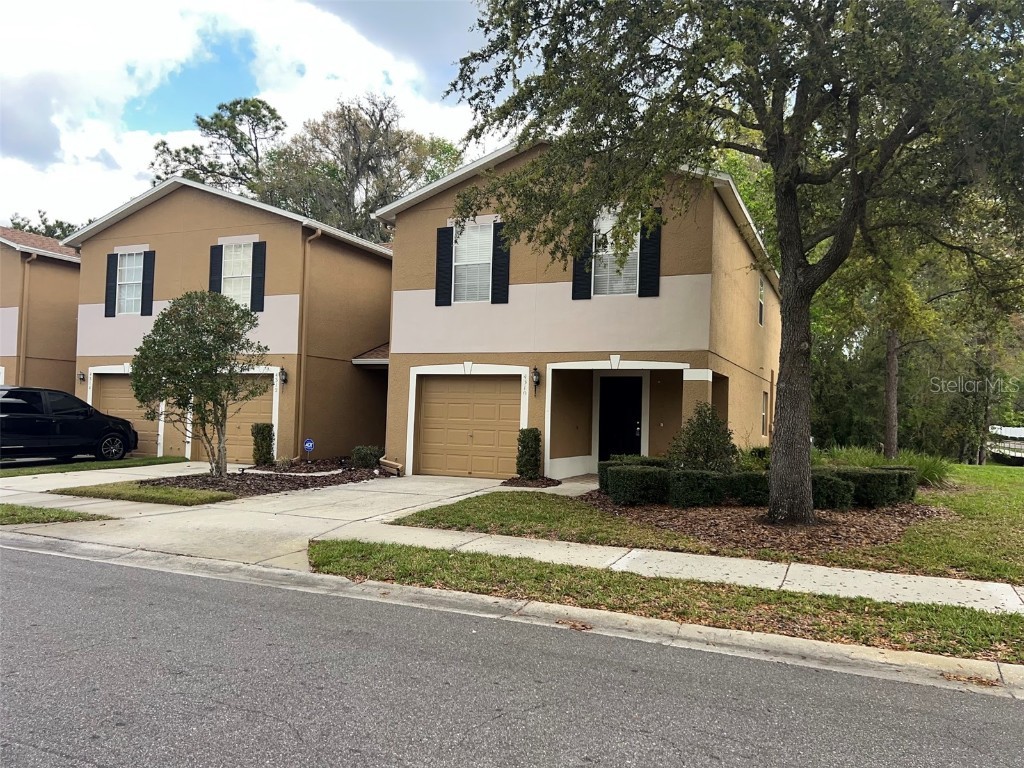 4310 Silver Falls Drive Land O Lakes FL 34639 T3431036 image1