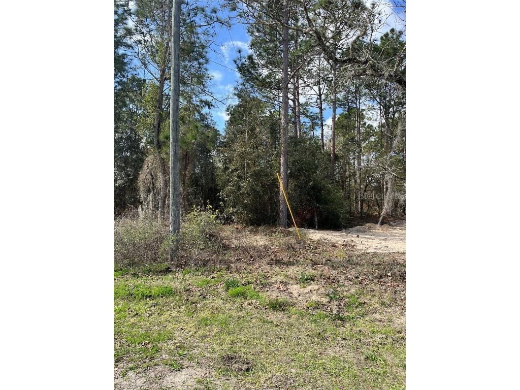 4310 SW 190th Court Dunnellon FL 34432 OM653655 image1