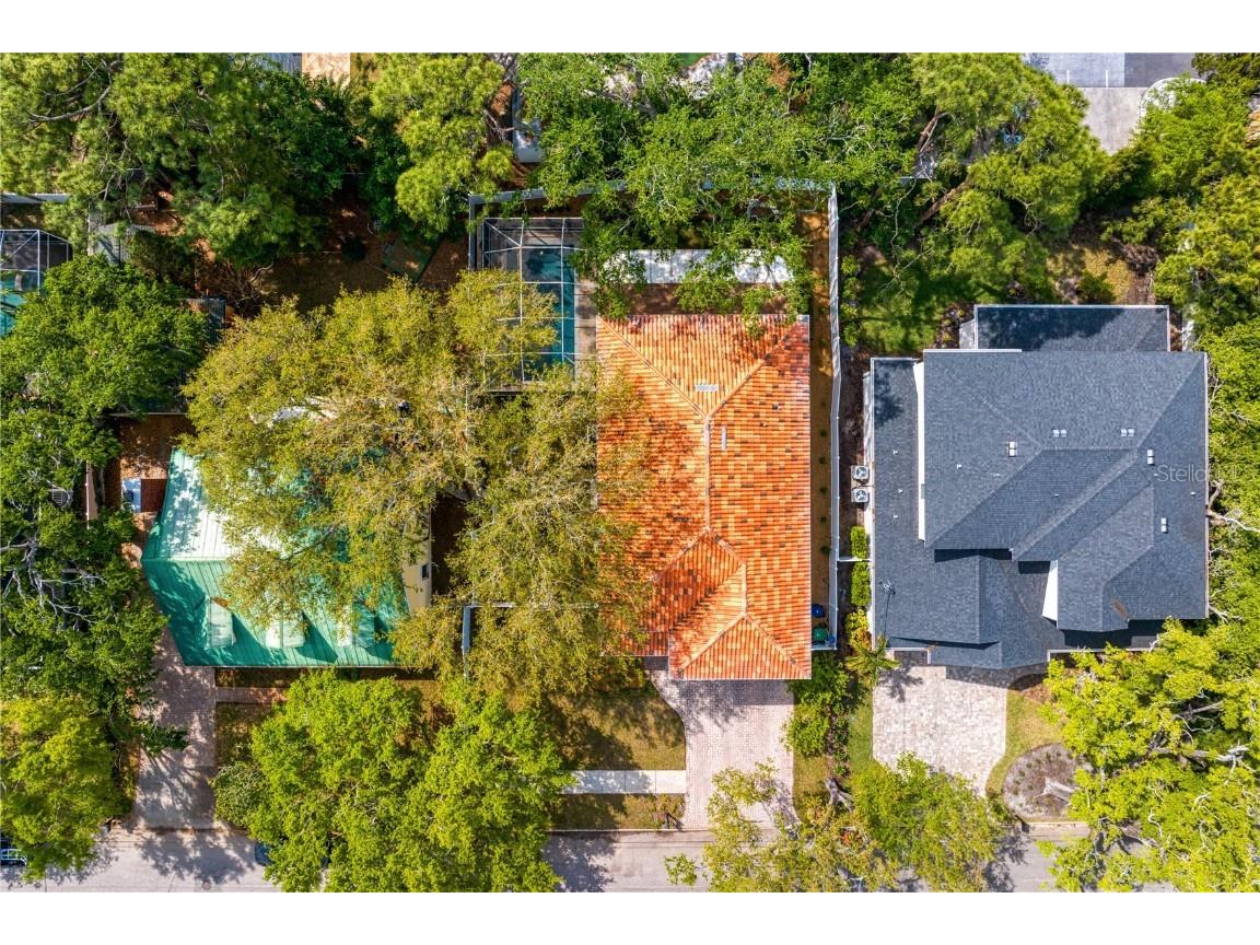 4310 W Sevilla Street Tampa FL 33629 TB8365664 image59