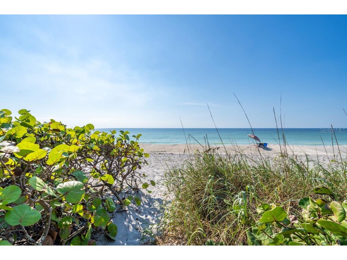 4311 123rd Street W Cortez FL 34215 O6402798 image32