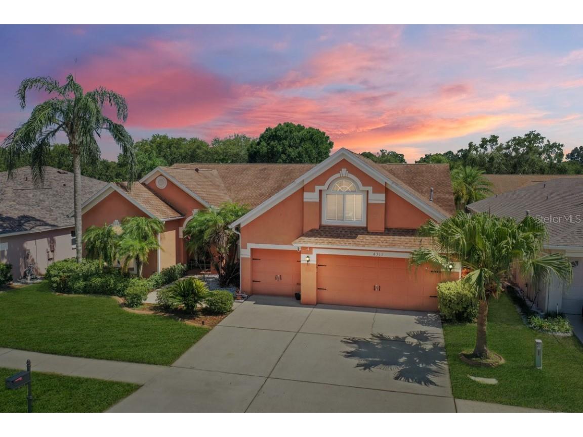 4311 Buckhorn Groves Court Valrico FL 33596 T3450841 image1