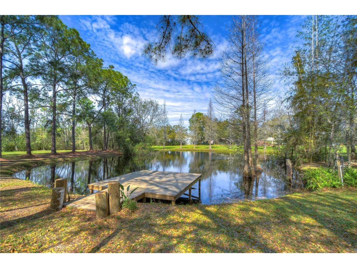 4311 Charro Lane Plant City FL 33565 T3504149 image1