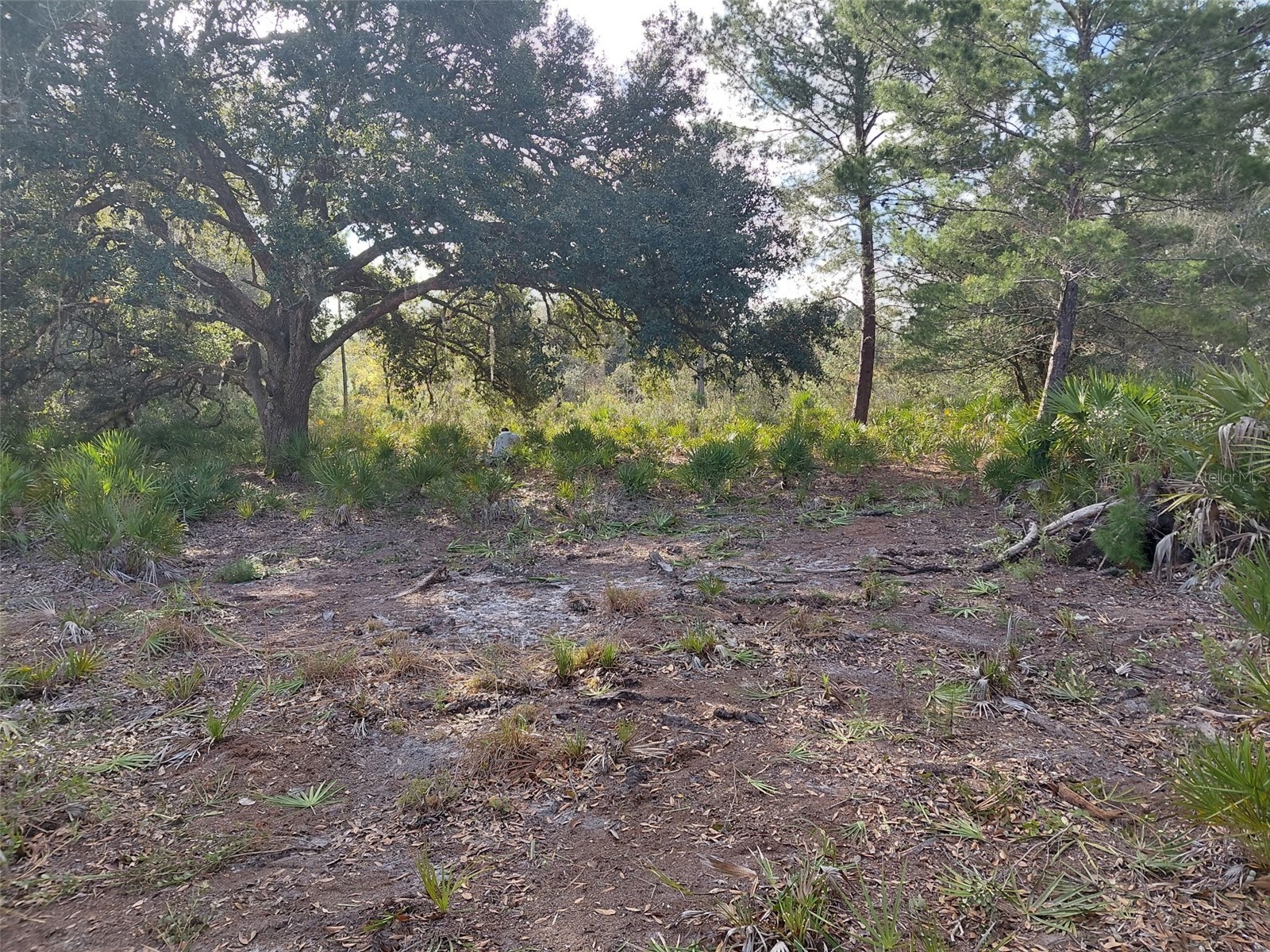 4311 Gardenia Drive Indian Lake Estates FL 33855 - LAKE WALK IN WATER O6390722 image6