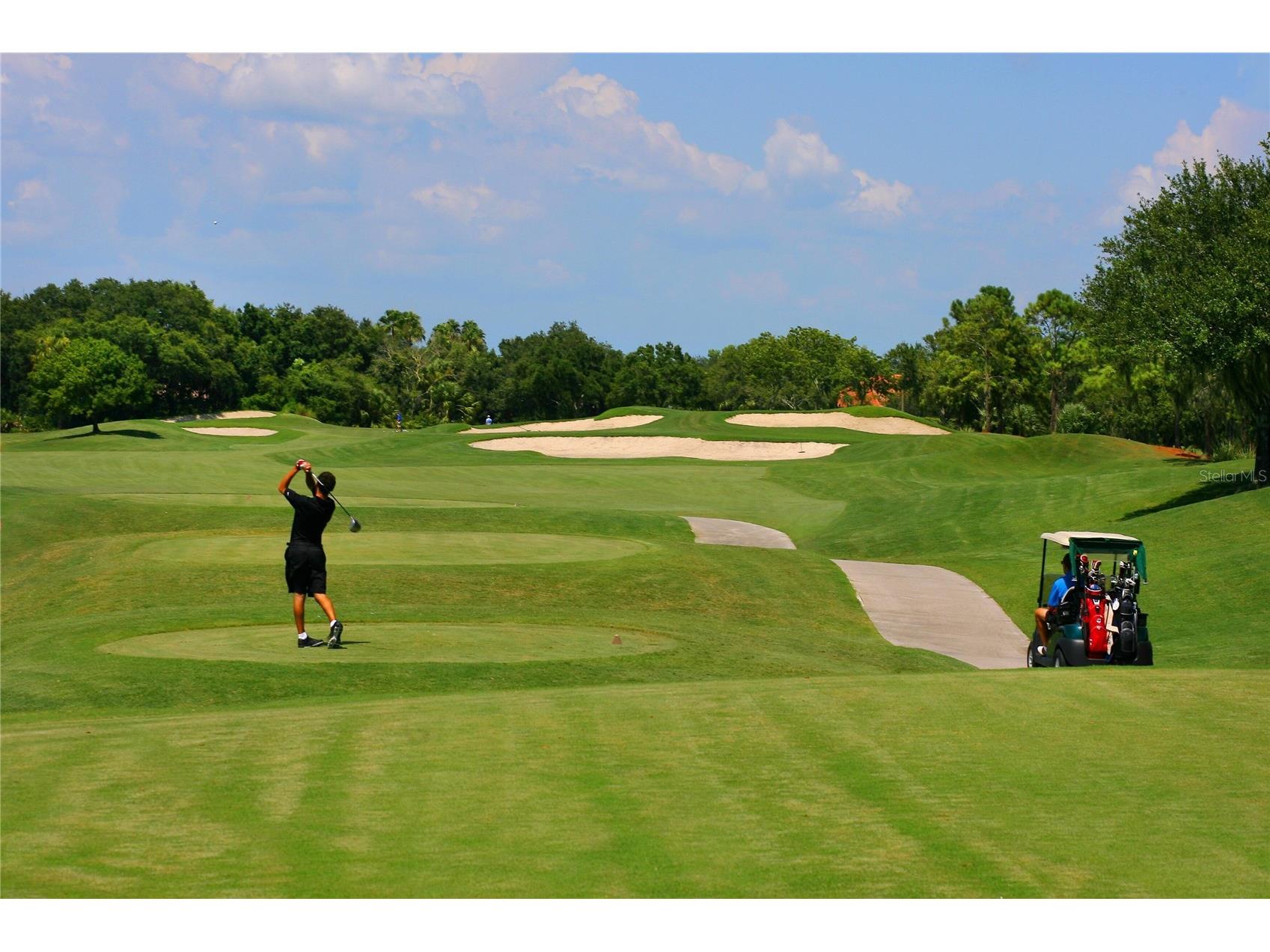 4311 Gulf Of Mexico Drive #501 Longboat Key FL 34228 - GULF OF MEXICO A4680043 image34