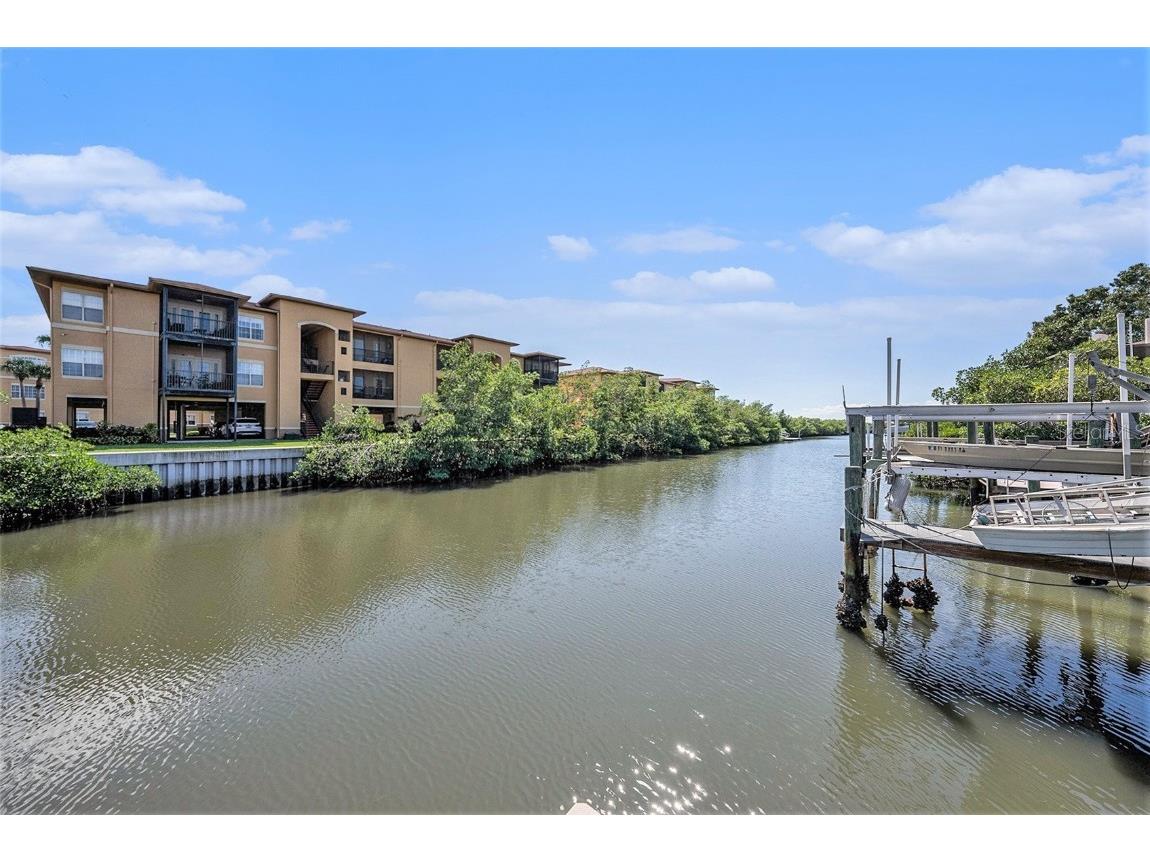 4311 Harbor House Drive #4311 Tampa FL 33615 TB8441105 image29