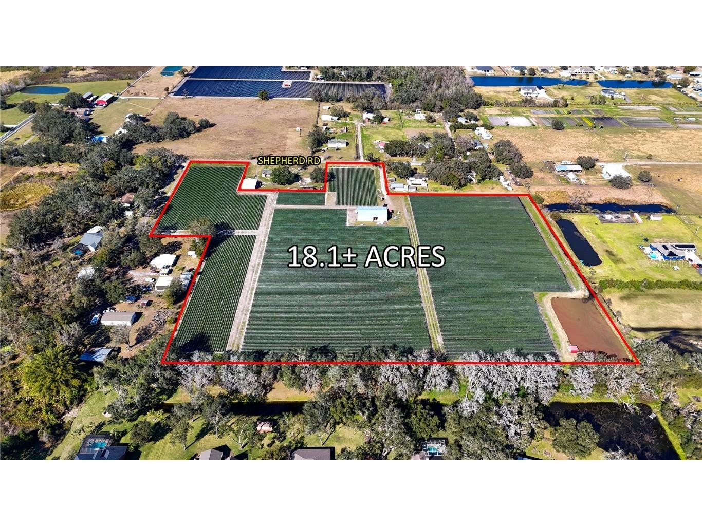 4311 Shepherd Road Plant City FL 33565 TB8347017 image1