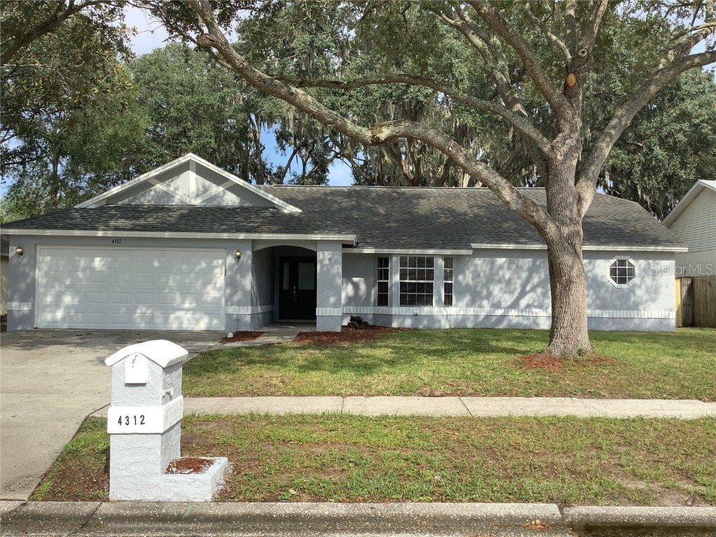 4312 Arley Place Valrico FL 33596 T3480516 image1