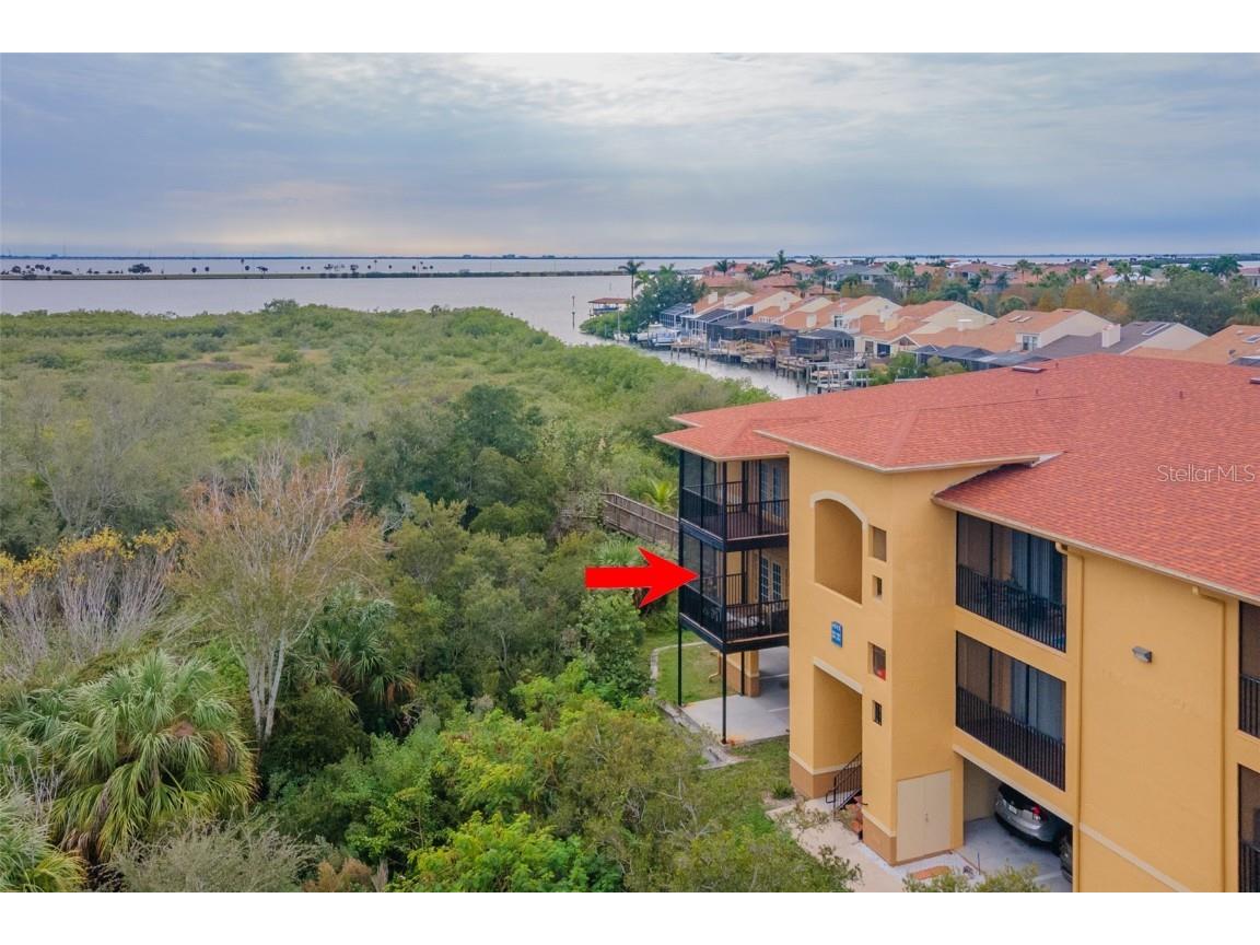4312 Bayside Village Drive #202 Tampa FL 33615 - OLD TAMPA BAY T3413348 image1