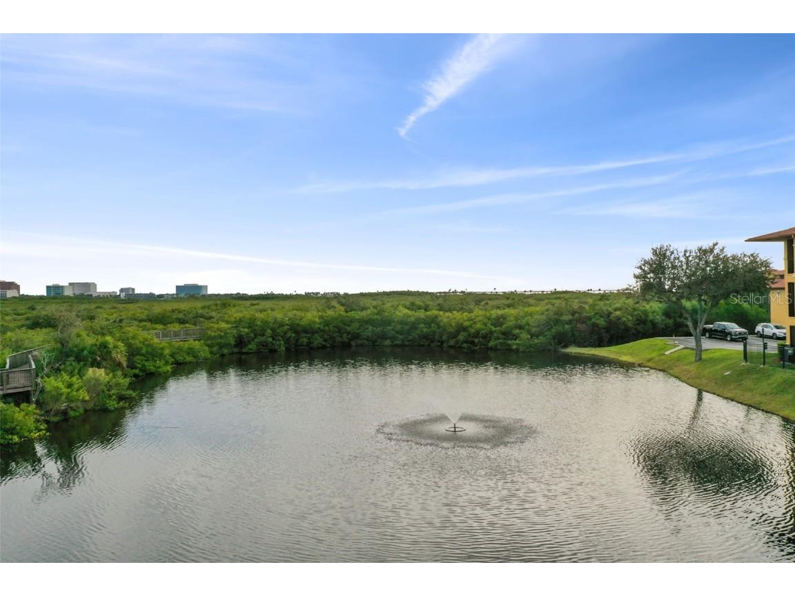 4312 Bayside Village Drive #302 Tampa FL 33615 TB8418616 image14