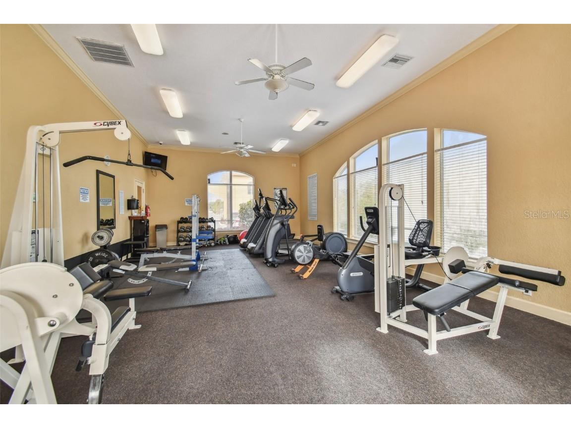 4312 Bayside Village Drive #302 Tampa FL 33615 TB8418616 image53