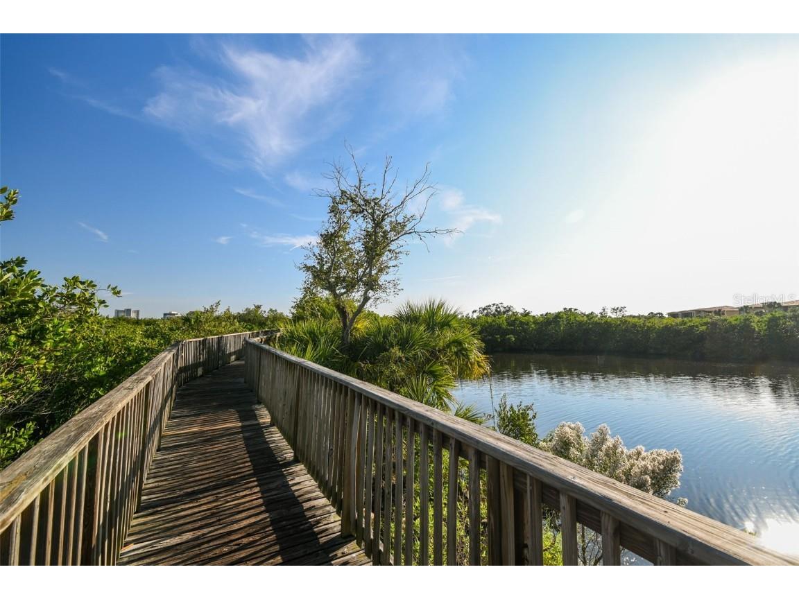 4312 Bayside Village Drive #302 Tampa FL 33615 TB8418616 image58