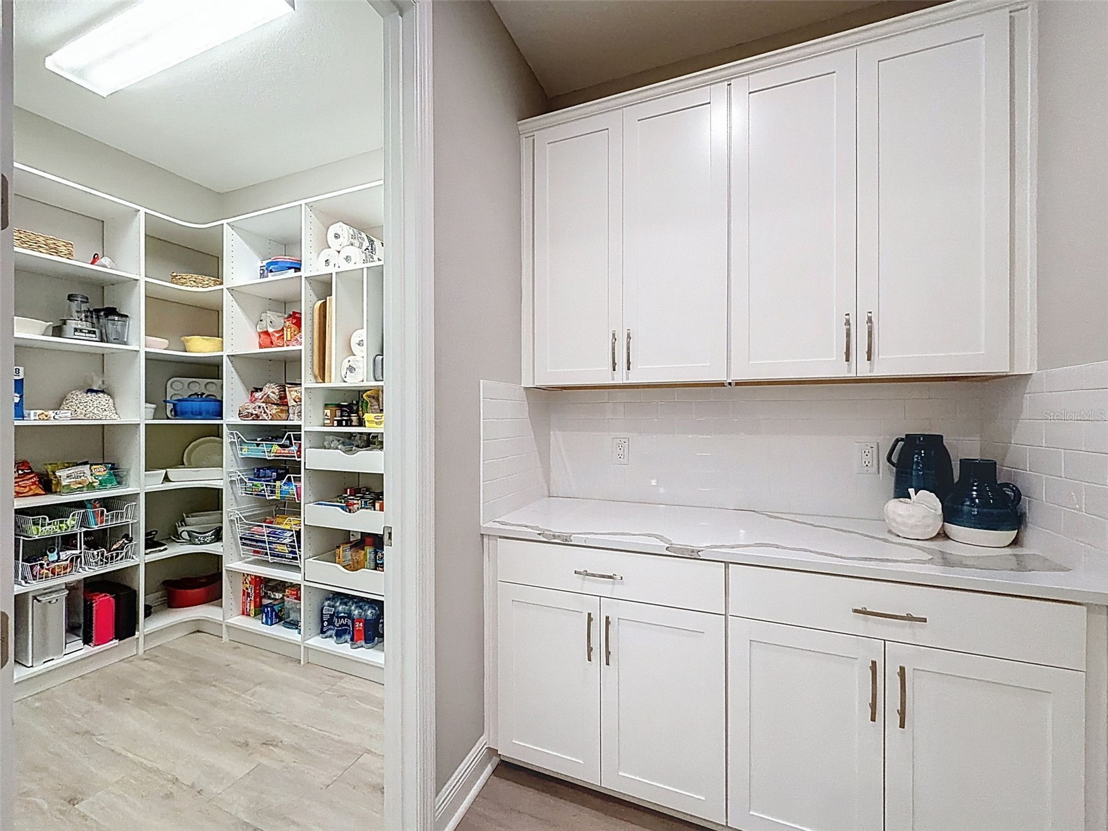 4312 Burdick Loop Odessa FL 33556 TB8470924 image15