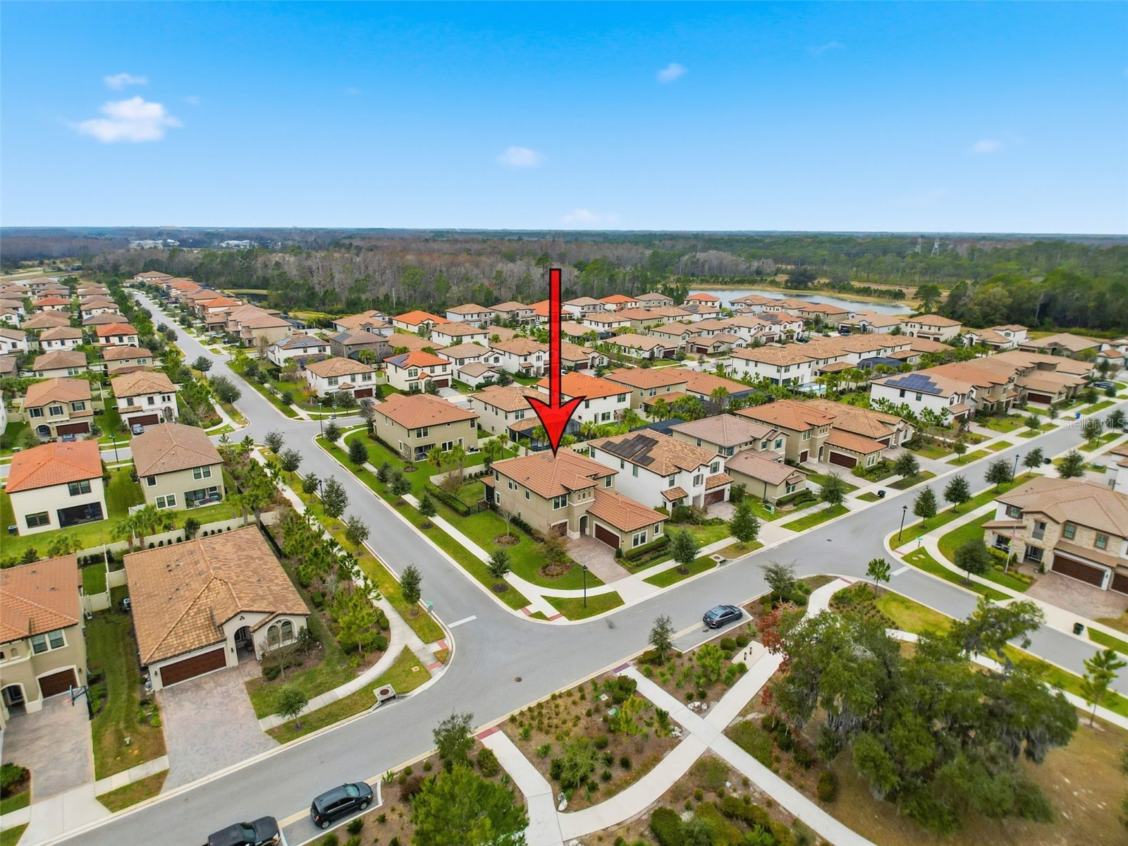 4312 Burdick Loop Odessa FL 33556 TB8470924 image43