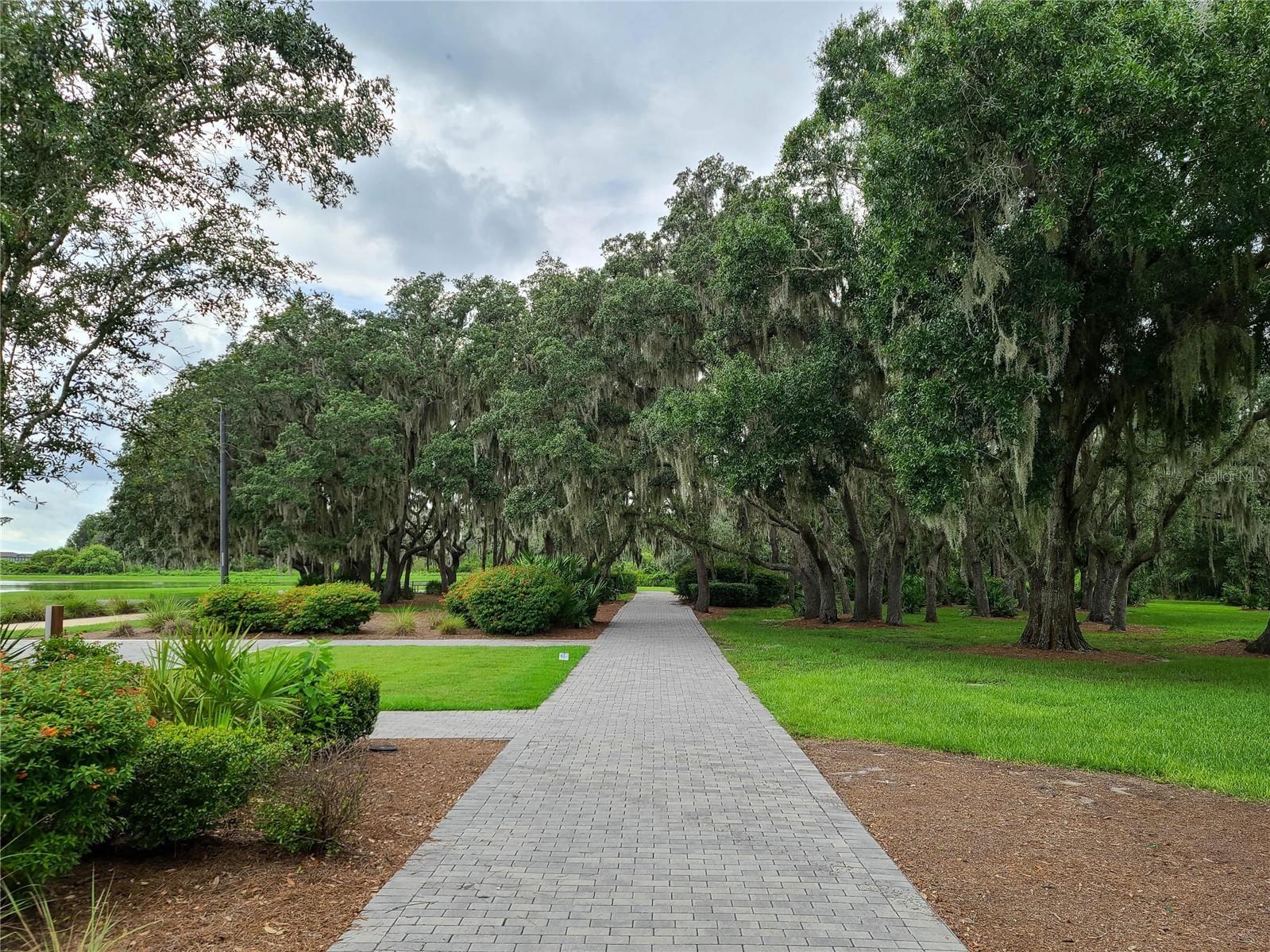 4312 Burdick Loop Odessa FL 33556 TB8470924 image52