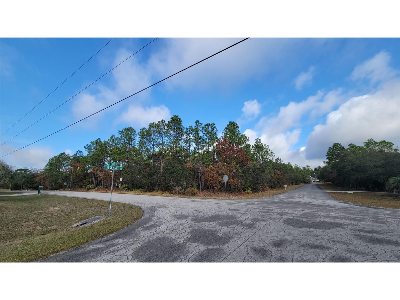 4312 N Deckwood Drive Beverly Hills FL 34465 OM715391 image1