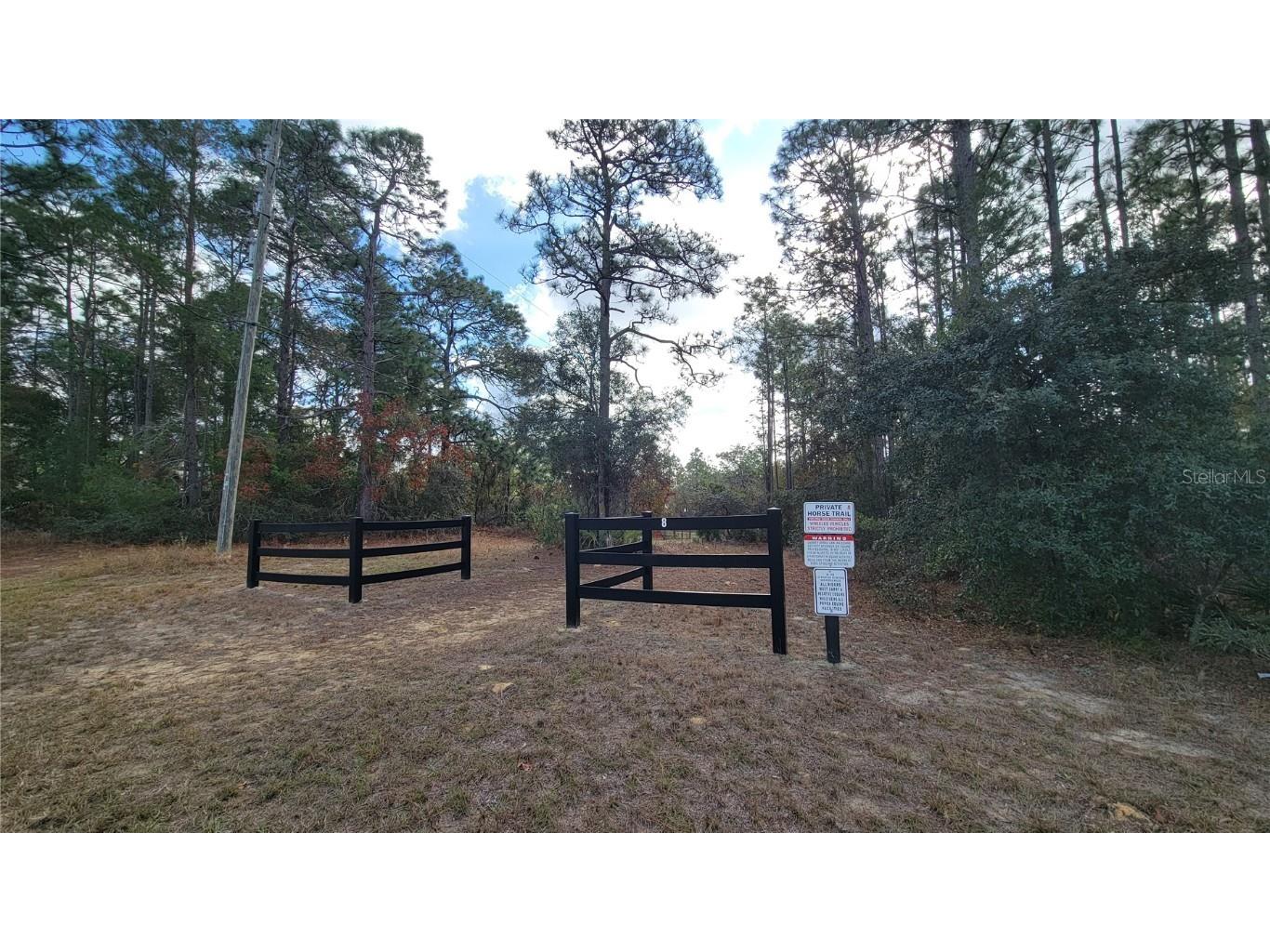 4312 N Deckwood Drive Beverly Hills FL 34465 OM715391 image10