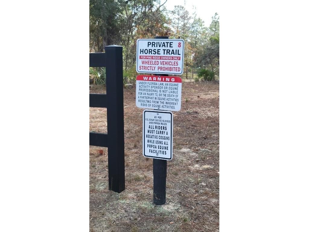 4312 N Deckwood Drive Beverly Hills FL 34465 OM715391 image11