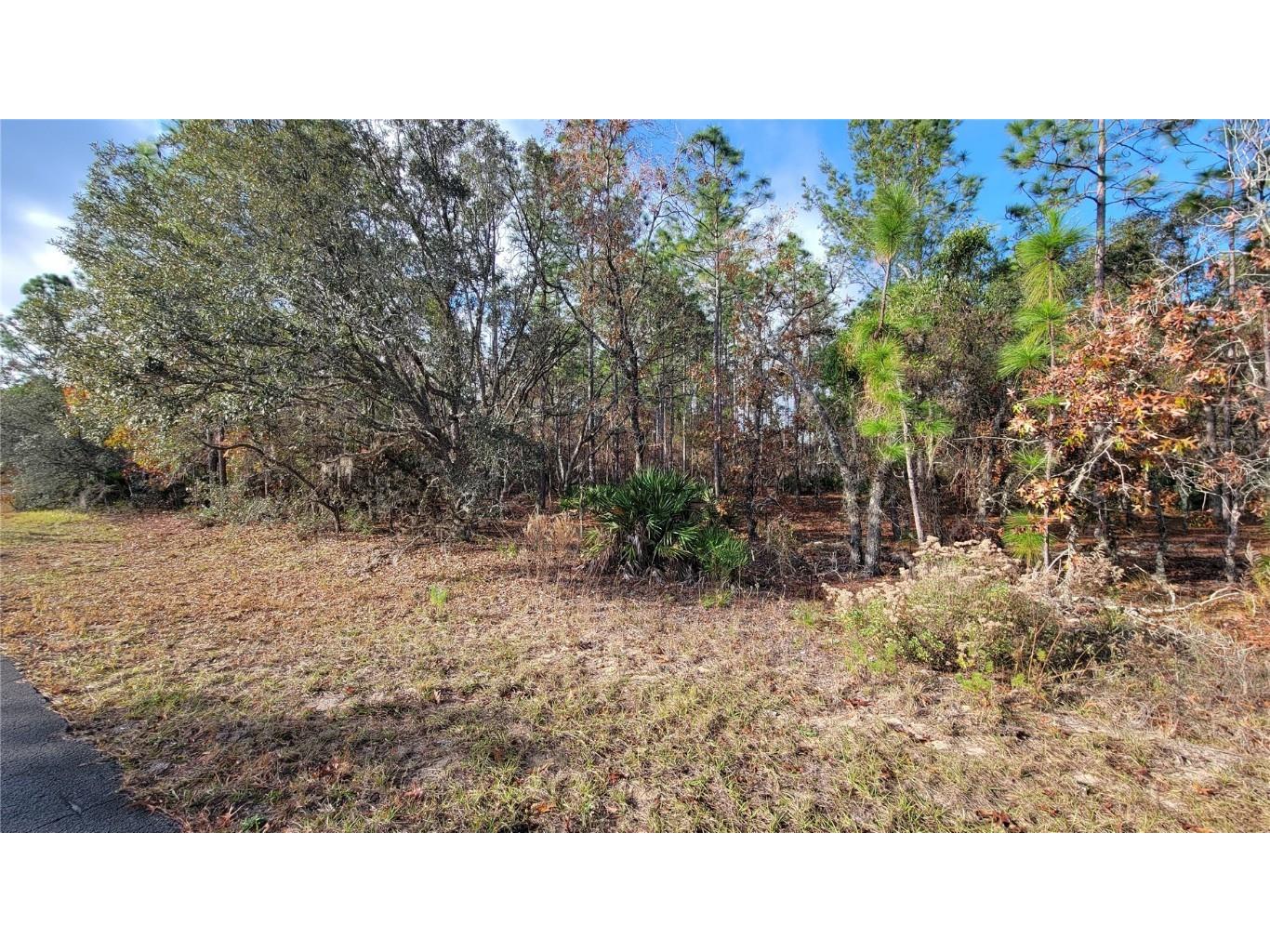 4312 N Deckwood Drive Beverly Hills FL 34465 OM715391 image2