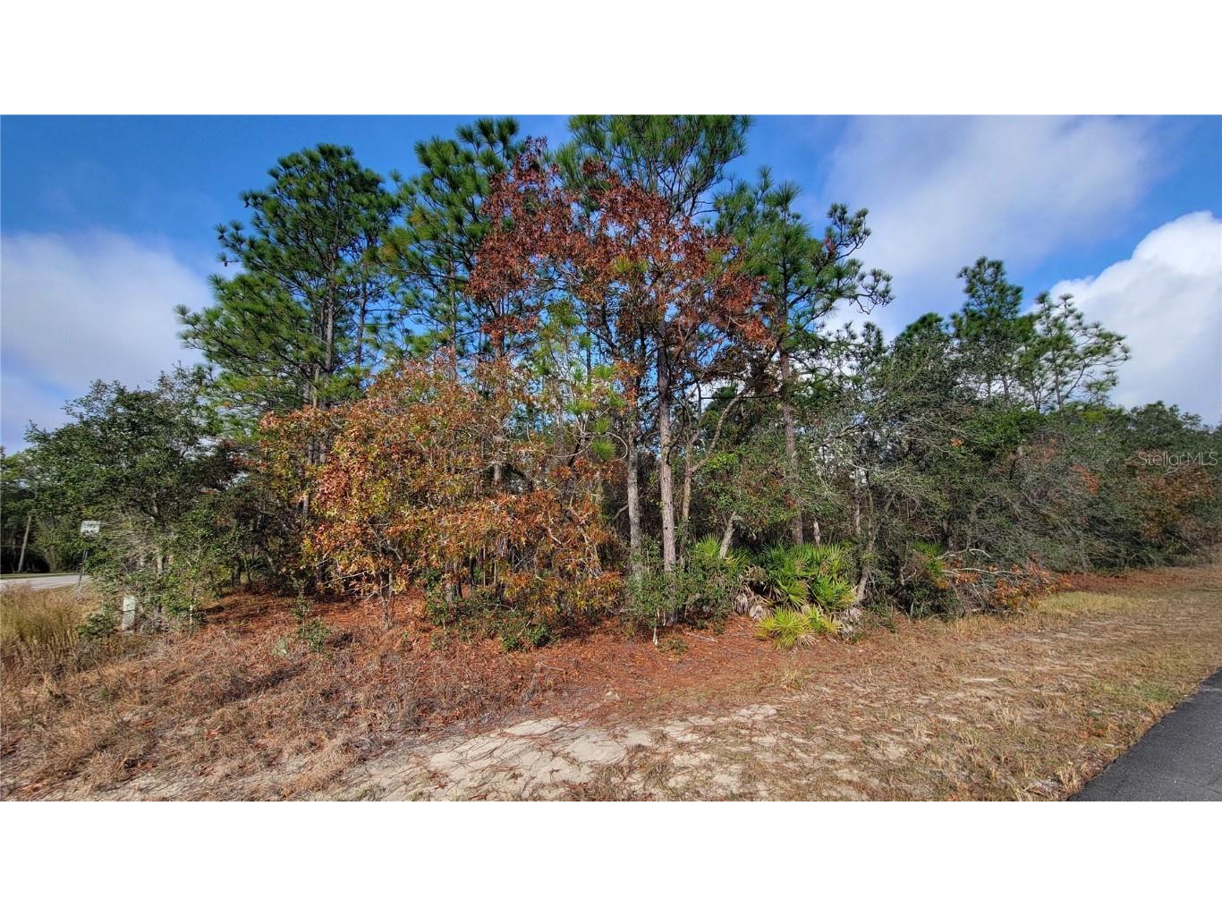 4312 N Deckwood Drive Beverly Hills FL 34465 OM715391 image3