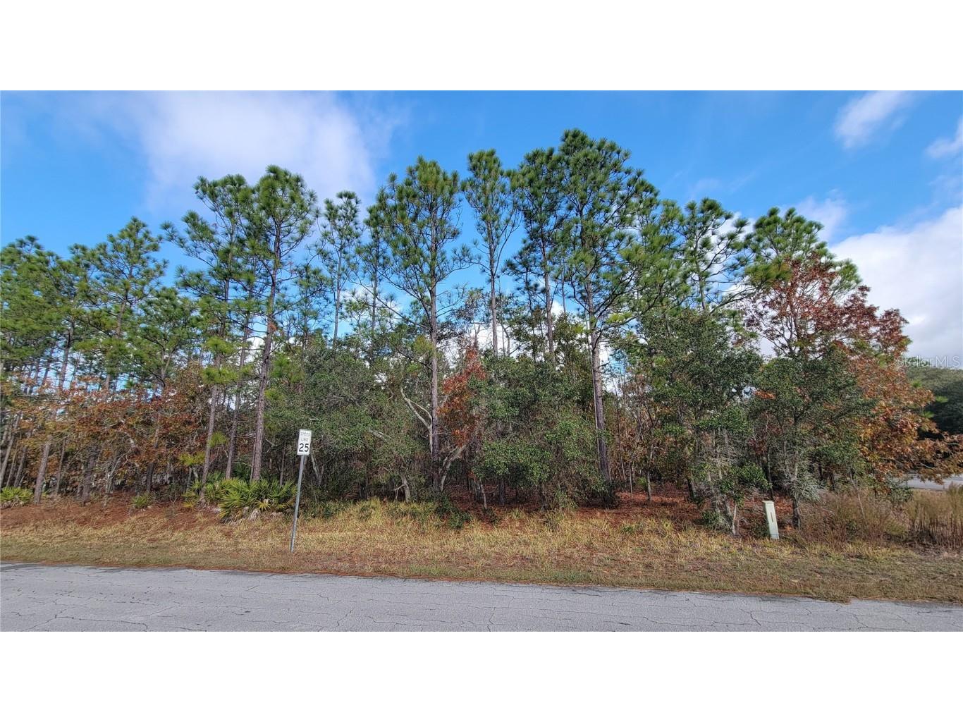 4312 N Deckwood Drive Beverly Hills FL 34465 OM715391 image5