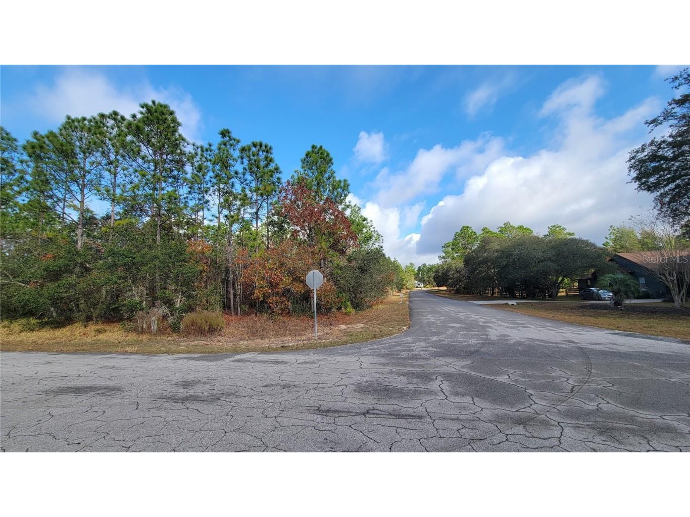 4312 N Deckwood Drive Beverly Hills FL 34465 OM715391 image6